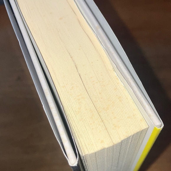 'The Truth About the Devlins' hardcover Book by Lisa Scottoline - Picture 14 of 14